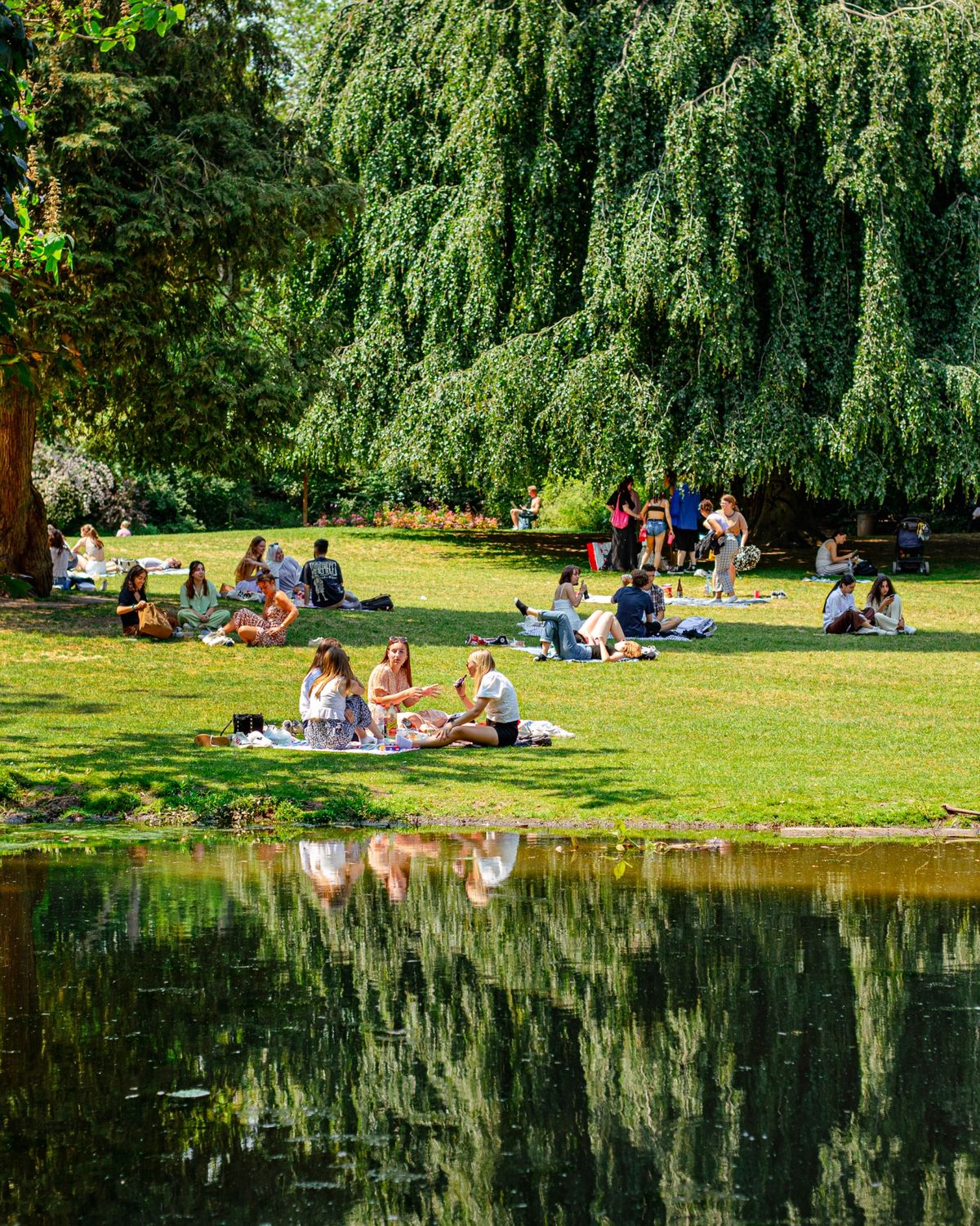 Пікнік на природі в пастельних тонах, спокійний формат